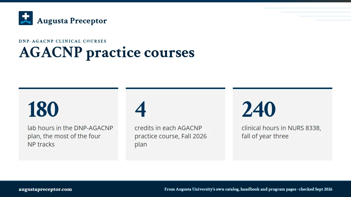 AGACNP practice courses. 180: lab hours in the DNP-AGACNP plan, the most of the four NP tracks; 4: credits in each AGACNP practice course, Fall 2026 plan; 240: clinical hours in NURS 8338, fall of year three.