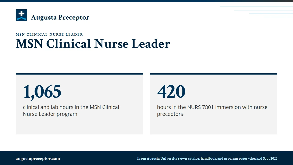 MSN Clinical Nurse Leader. 1,065: clinical and lab hours in the MSN Clinical Nurse Leader program; 420: hours in the NURS 7801 immersion with nurse preceptors.